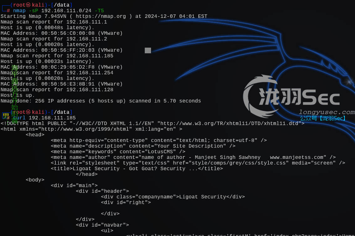 image-20241207170243996