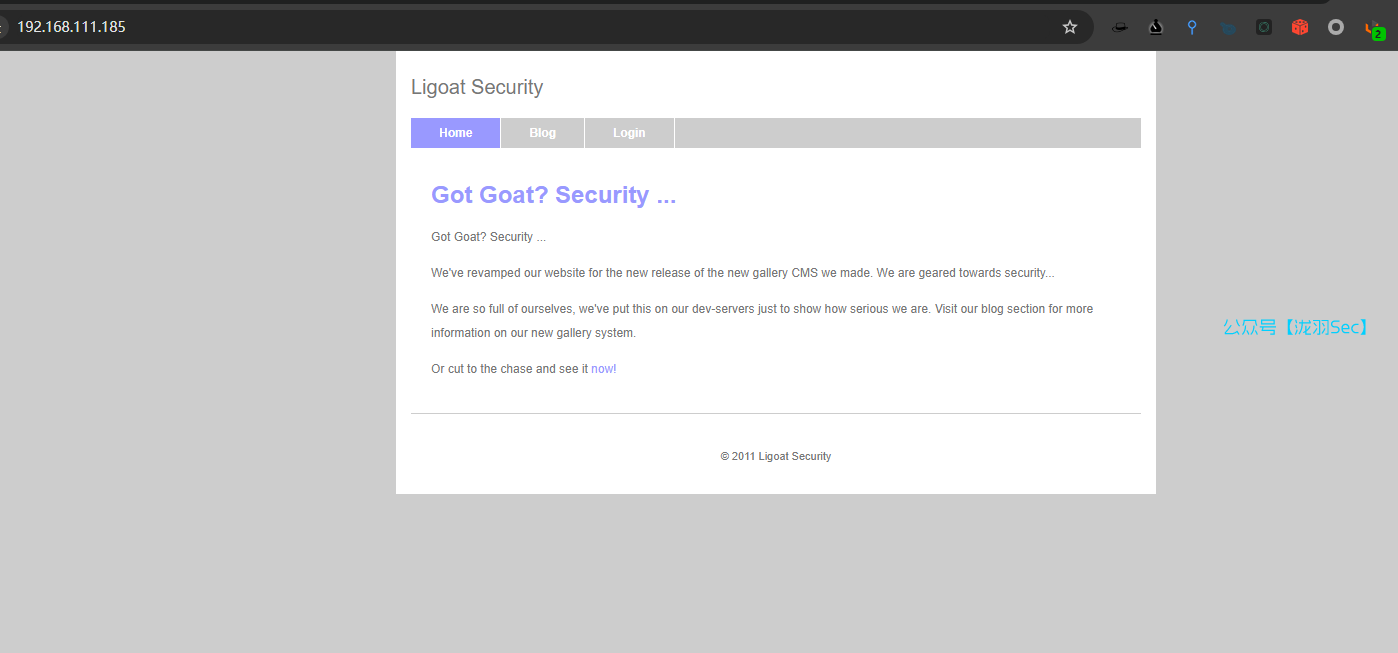 image-20241207170405690