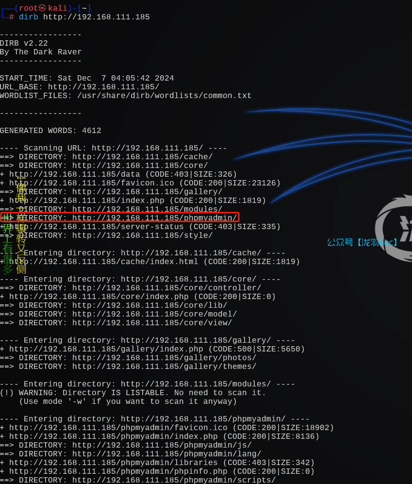 image-20241207172238652