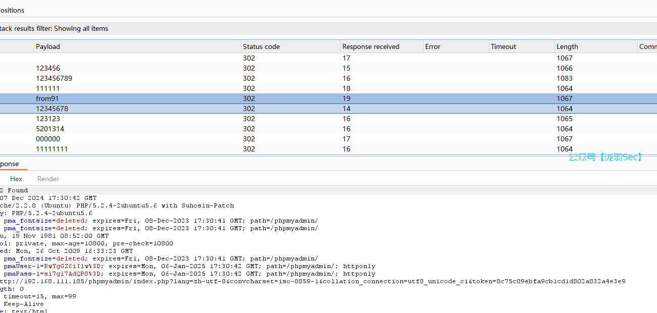 image-20241207173115577