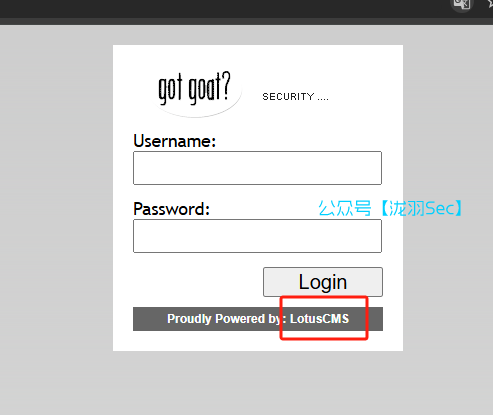 image-20241207200355137