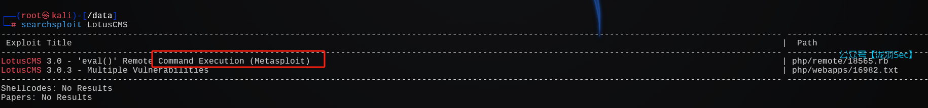 image-20241207200437041