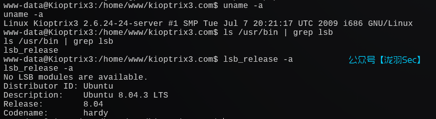 image-20241207213754248