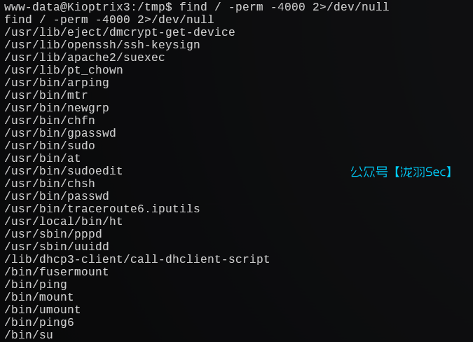 image-20241207221452023