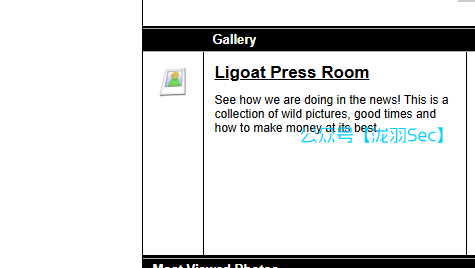 image-20241208021947050