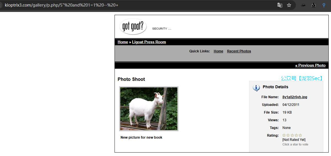 image-20241208021928068