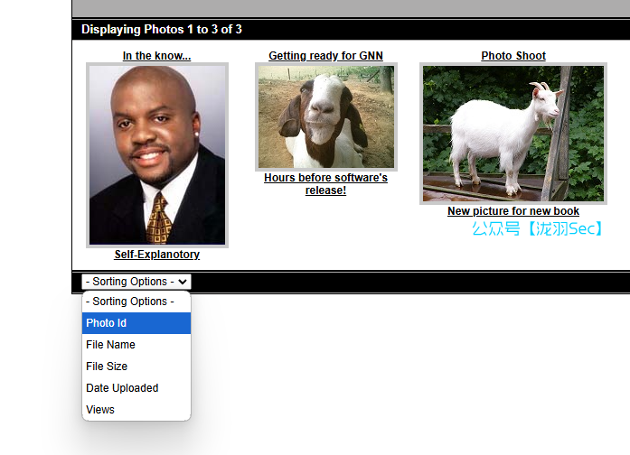 image-20241208022017668