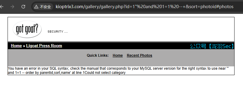 image-20241208022140518