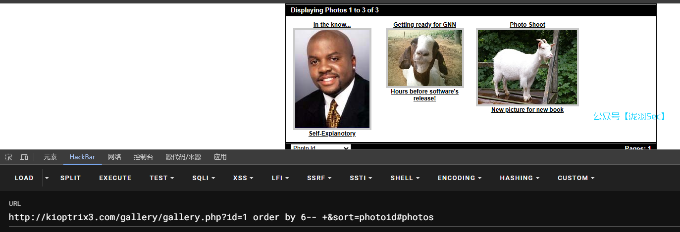 image-20241208022745704