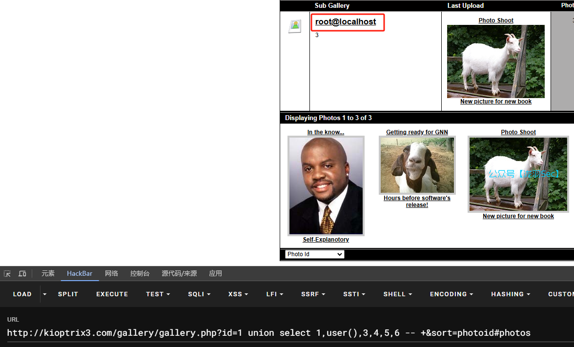 image-20241208023308874