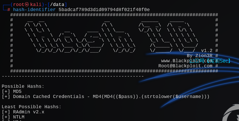 image-20241208033624851