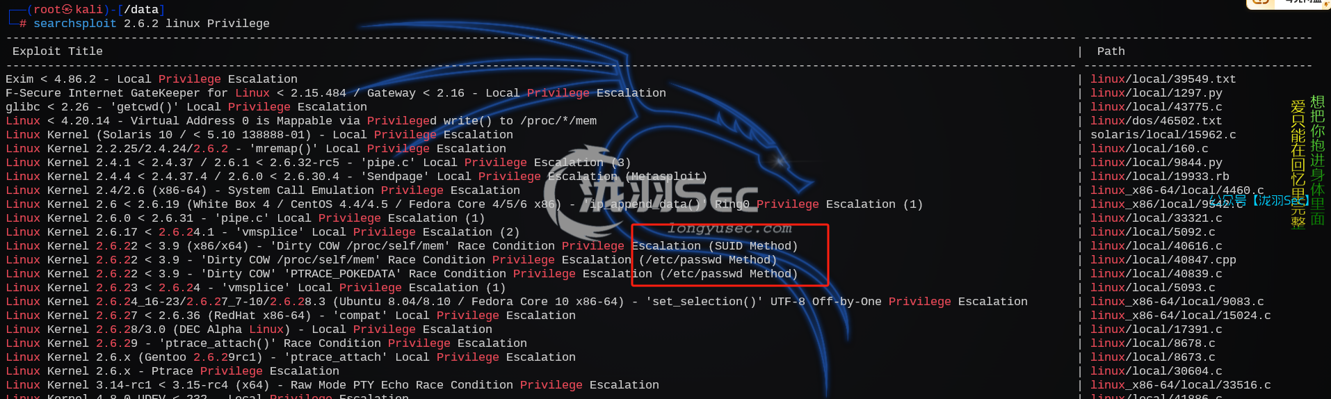image-20241208123556090