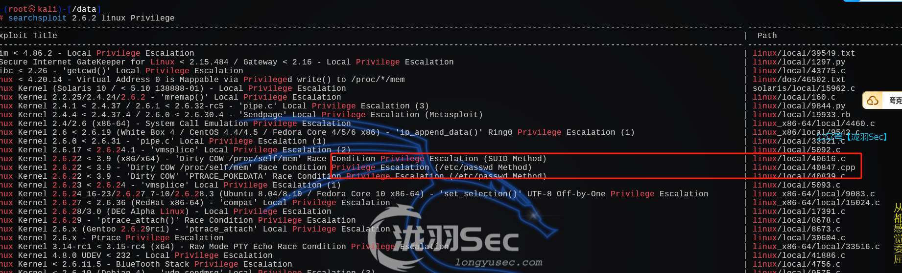 image-20241208142905729