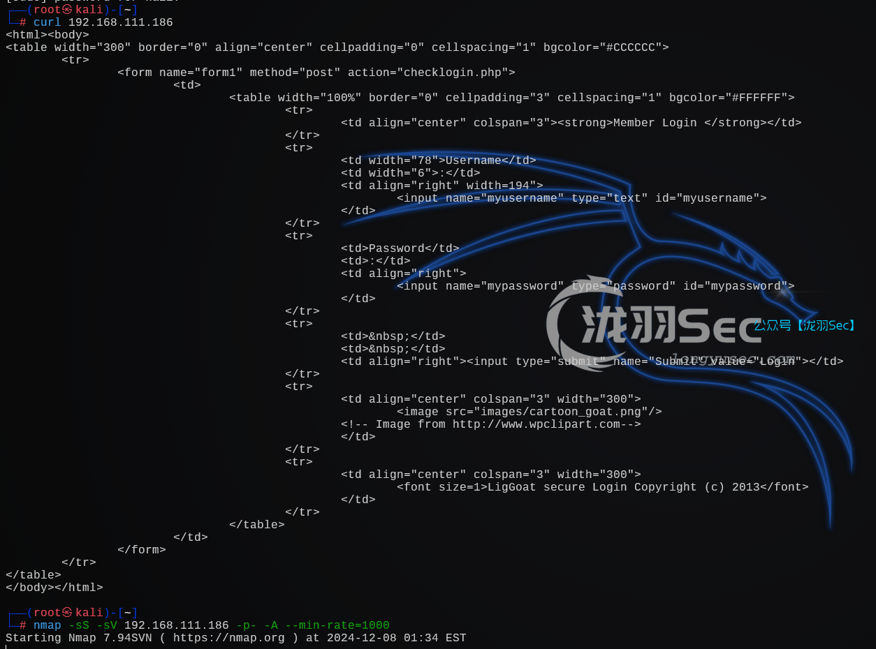 image-20241208143419261