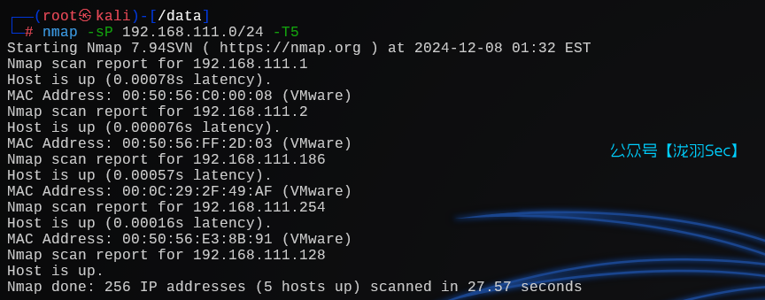 image-20241208143507606