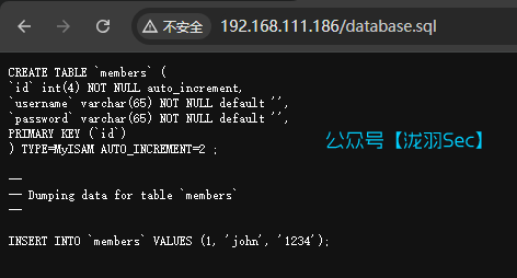 image-20241208164147044