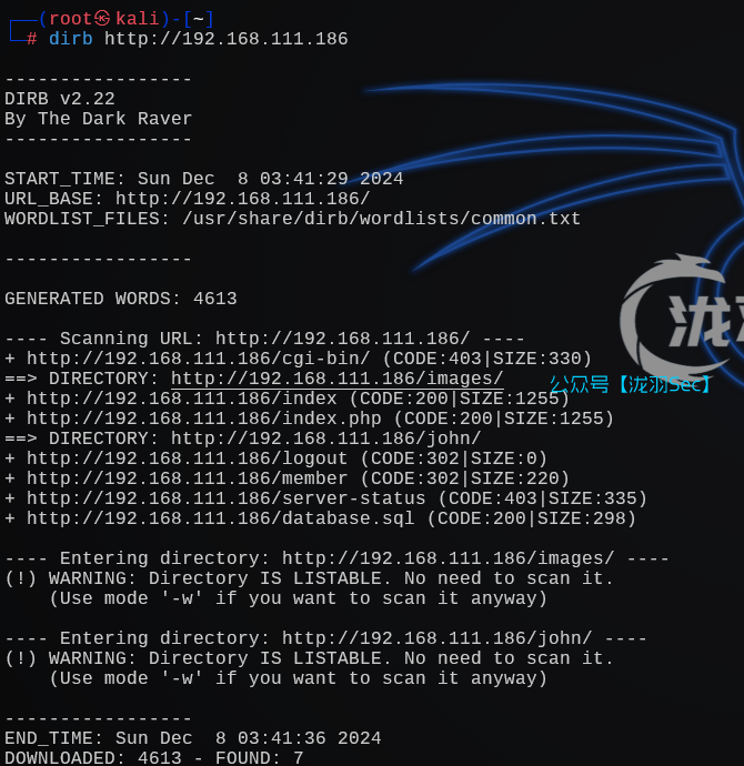 image-20241208164224770