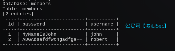 image-20241208181357778