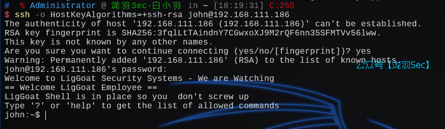 image-20241208182057871