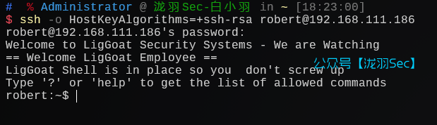 image-20241208182355790