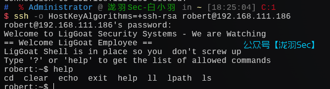 image-20241208182707899