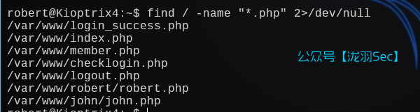 image-20241208194358047