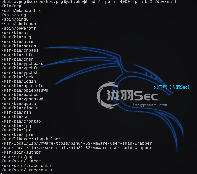 image-20241208220605749