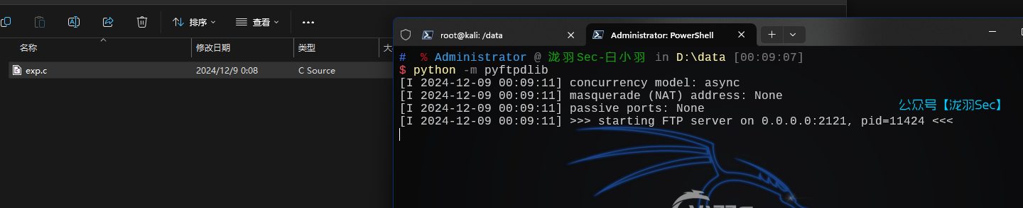 image-20241209000927590