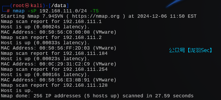 image-20241207005237705