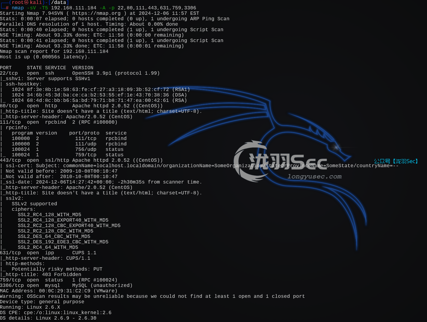 image-20241207011541281