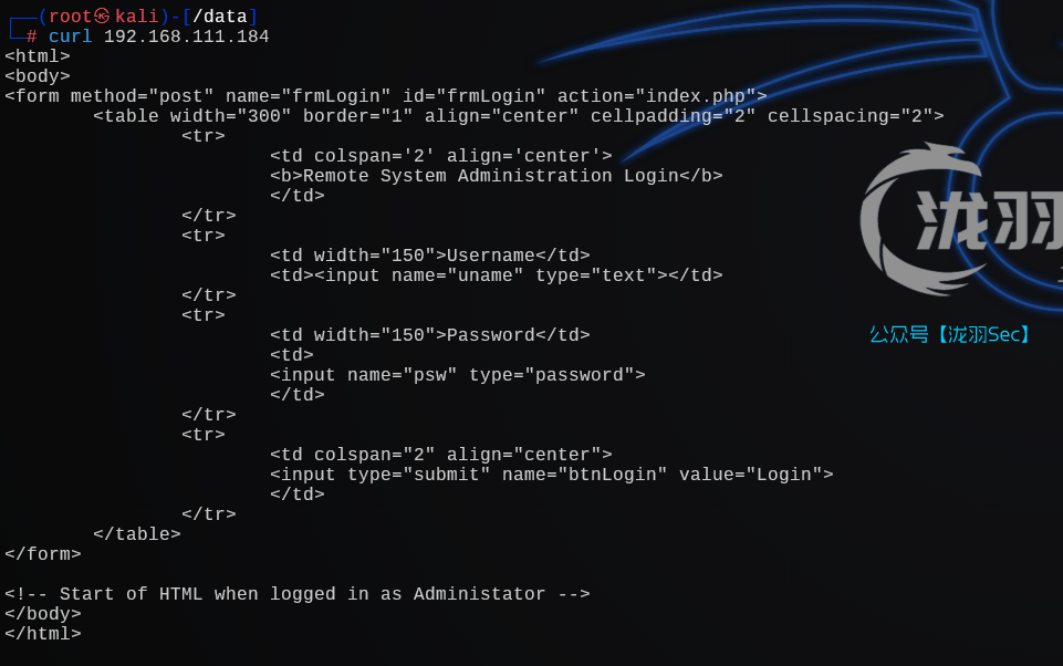 image-20241207010005890