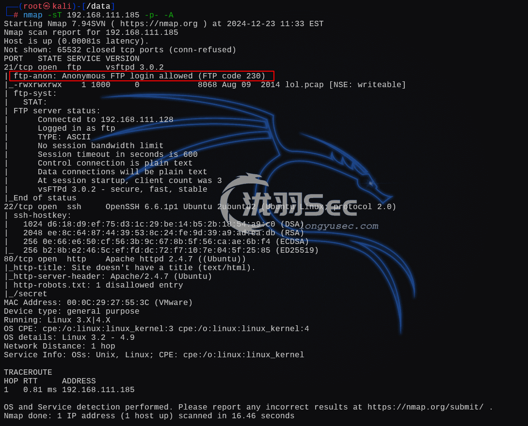 image-20241224010638152