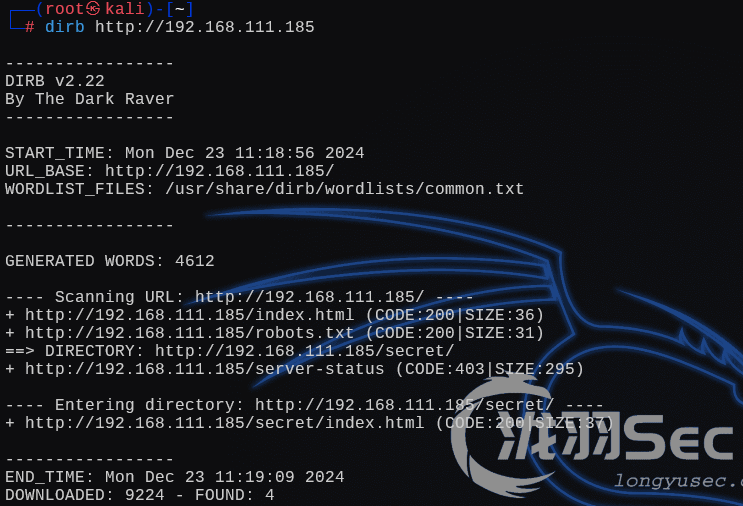 image-20241224010726794